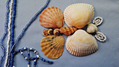 Photo of Микрокини-стринги с морскими ракушками