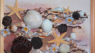 Photo of Трикини с морскими ракушками и райскими птицами