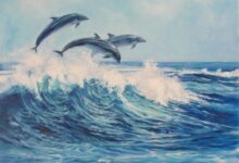 Photo of Раздельный купальник с морскими мотивами