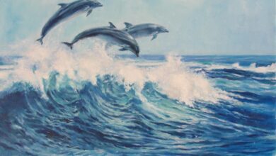 Photo of Раздельный купальник с морскими мотивами