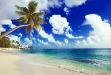 Photo of Раздельный купальник с фламинго и пальмами